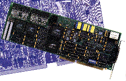 Isa1-2.gif (30622 bytes)