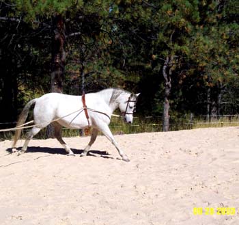 belle10-9-28-03