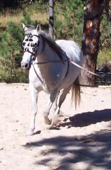 belle3-9-28-03