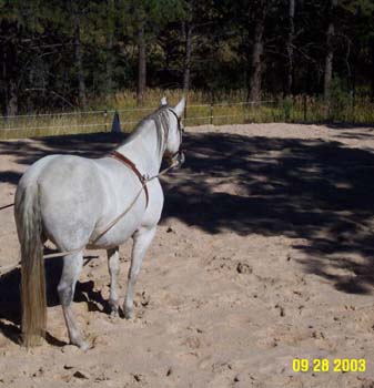 belle4-9-28-03