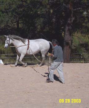 belle5-9-28-03