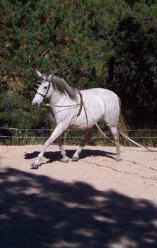 belle6-9-28-03