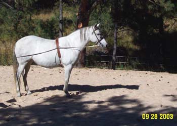 belle7-9-28-03
