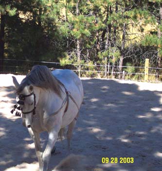 belle8-9-28-03
