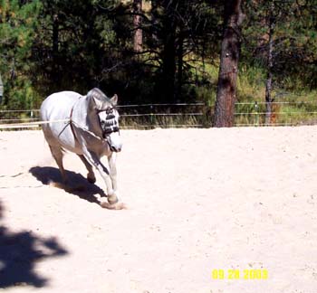 belle9-9-28-03