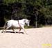 belle10-9-28-03