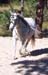 belle3-9-28-03