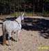 belle4-9-28-03