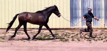 reggie11-7-02