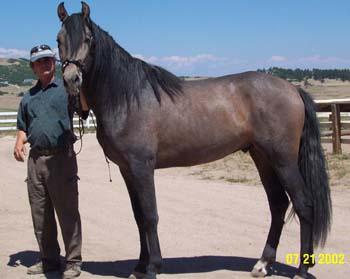reggie6-7-02