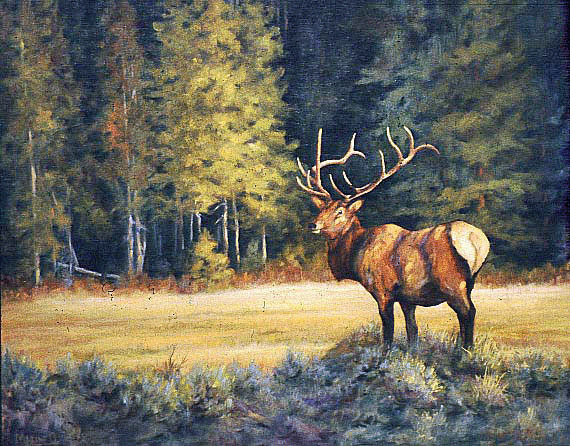 Bountiful Harvest, oil on canvas