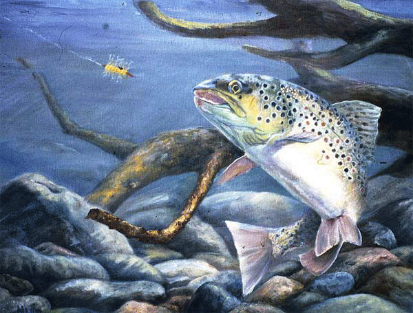 , Waiting for Sunset