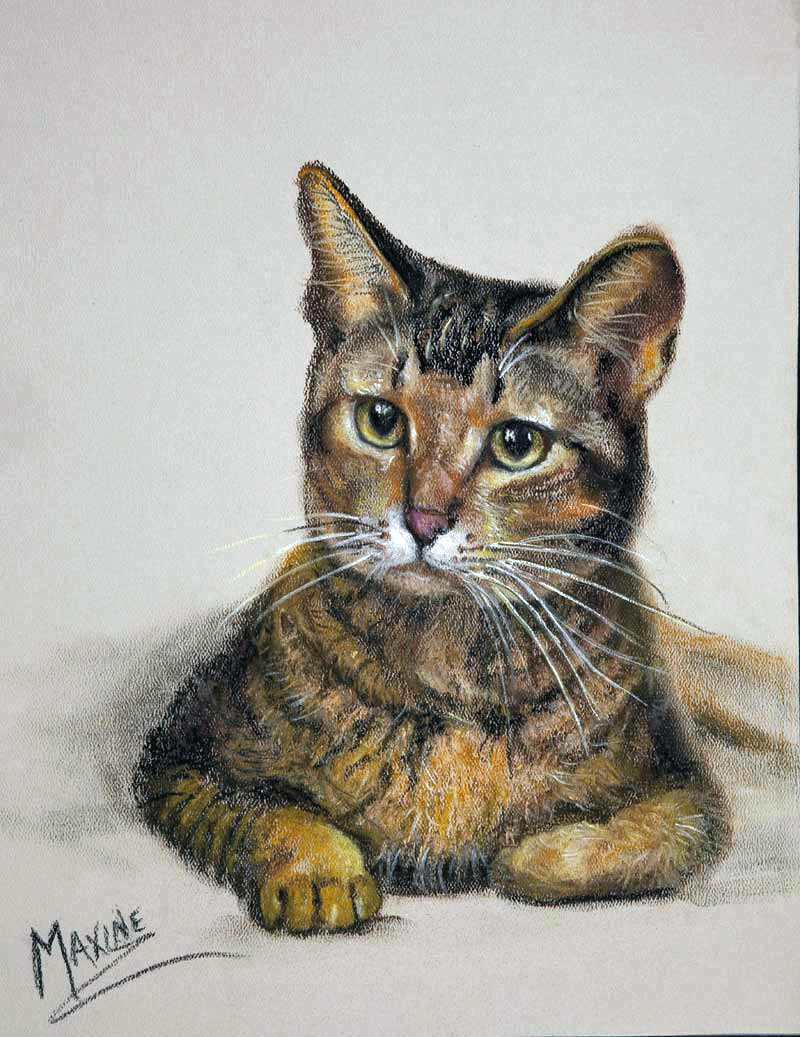 , Waiting for Sunset