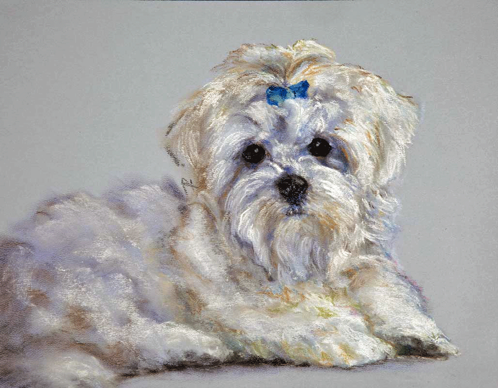 Bountiful Harvest, oil on canvas