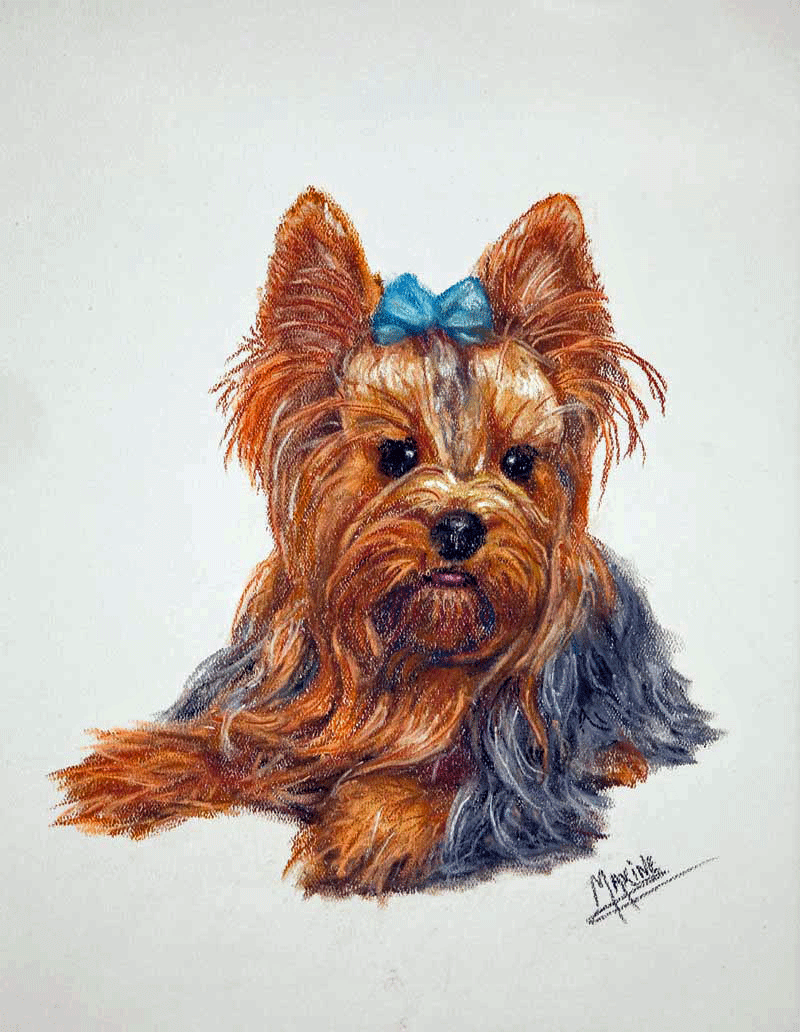 Bountiful Harvest, oil on canvas