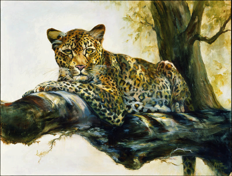 , Waiting for Sunset