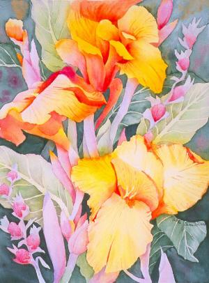 Canna Lily Watercolor