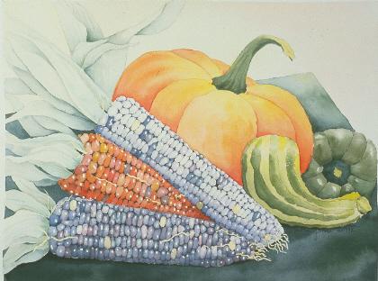 Harvest Watercolor by Martha Garren