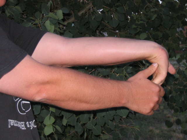 Ergonomic Stretches